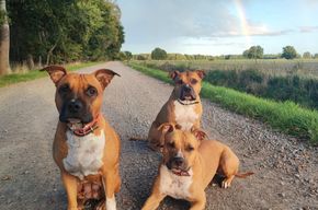 0F9D8818-6F0C-4063-B934-99CE37CE95BD