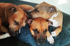 CF4306CA-4DE4-4FF6-AF15-672C5BDA1593